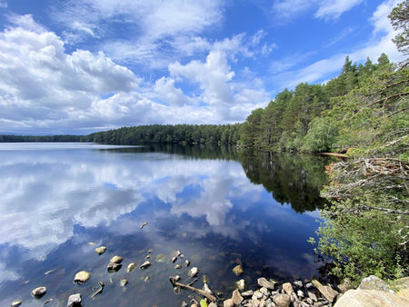 Reflection of the sky in the water of Loch Gartenの写真素材