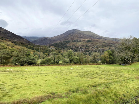 A view of a scenic landscape