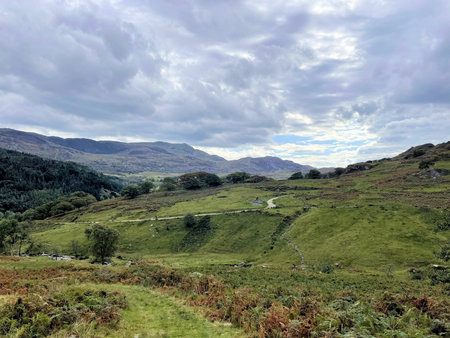 A view of the Watkin Path