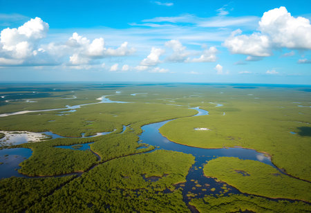 Aerial view of the Florida Evergladesの素材