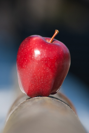 A whole red apple with petiole balanced on wooden fenceの写真素材