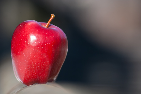 A whole red apple with petiole balanced on wooden fenceの写真素材
