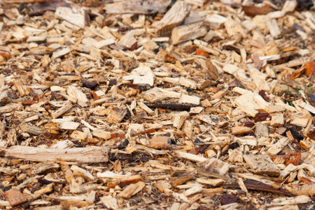 Mountain outside of lumberjack tree cutting scraps