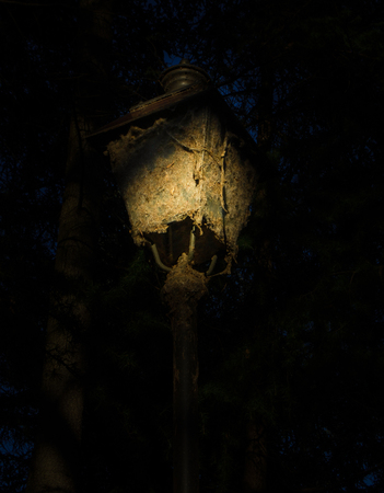Street lamp completely covered with thick layer of dust and cobwebs in the darkの写真素材