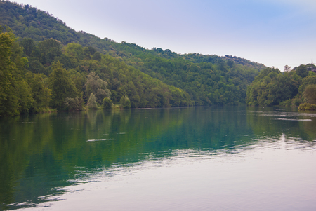 Adda river with local flora seen from the boatの写真素材