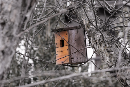 Wooden nest built by a man and hung between branchiesの写真素材