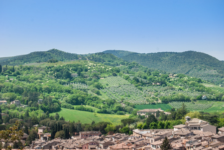 View of vineyards and olive groves in the hills of Spoleto town near Norciaの写真素材