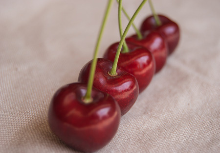 Group of five whole and freshly cherries picked from the treeの写真素材
