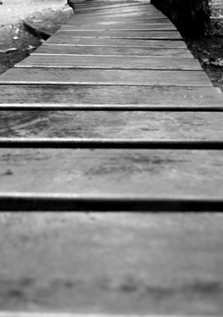 Metaphorical message about life as a way to goの写真素材