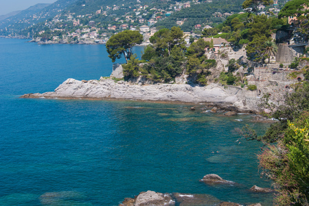Promontory and inlet between Camogli and Reccoの写真素材
