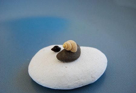 Two little shells and two stones one over the otherの写真素材