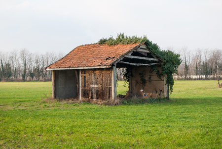 Small house used by the peasant as a shelter with  climbing plant above the roofの写真素材