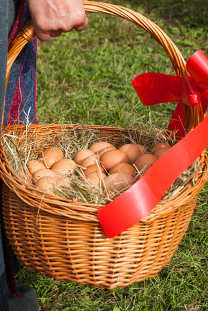 Group of chicken eggs in a basket with a handle and red bowの写真素材