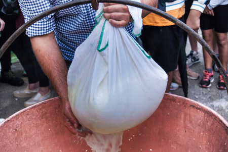 Cheesemaker showing the proceeding to make cheese from the milkの写真素材