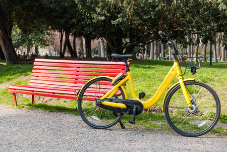Bike and bench on a dirt path in the municipal parkの写真素材
