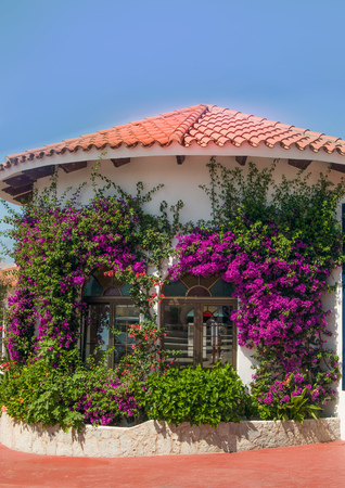 White construction with purple Bougainvillea around the spanish islandの写真素材