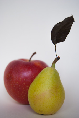 Two autumn fruits next to each otherの写真素材