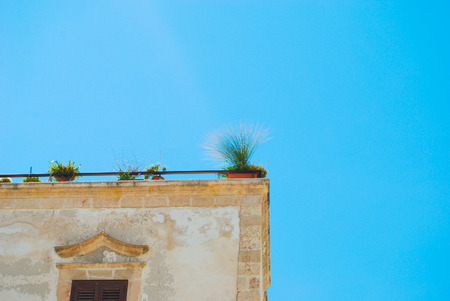 Characteristic construction with little plants on the top in the blue skyの写真素材