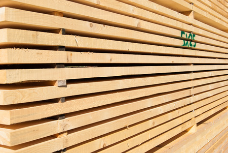 Planks of raw wood neatly arranged in the open air for dryingの写真素材