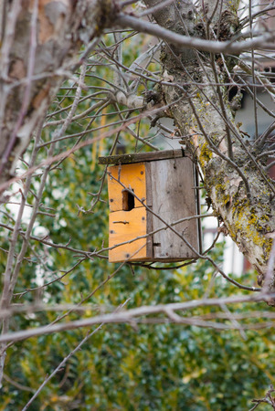Wooden nest built by a man and hung between branchiesの写真素材