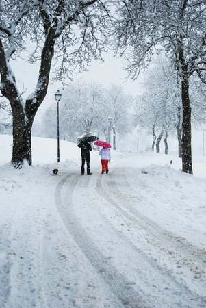 Couple and little dog on the street speak under a heavy snowfallの写真素材
