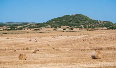 Circular hay bales and sun rays on the field and on the hillsの写真素材