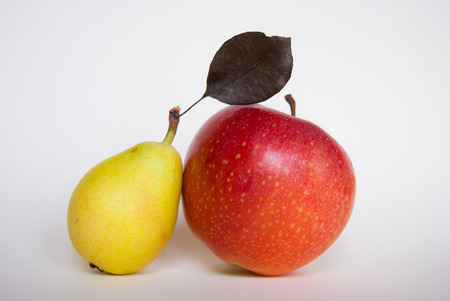 Two autumn fruits leaning against each otherの写真素材