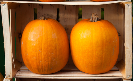 Wooden box with a couple of orange pumpkins outside of a greengrocerの写真素材