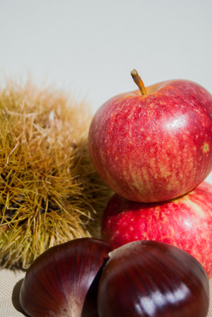 Close-up of fruits next to each other in a colored autumn compositionの写真素材