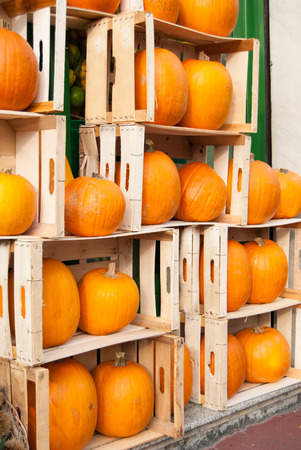 Creative exposition of wooden boxes with many orange pumpkins outside of a greengrocerの写真素材