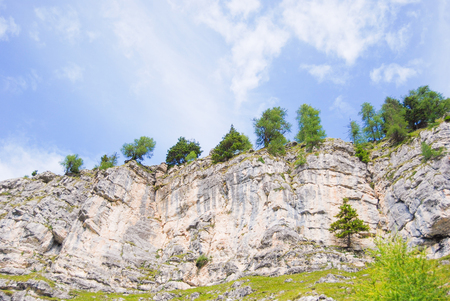 Trees close to high and rose rocky edgeの写真素材