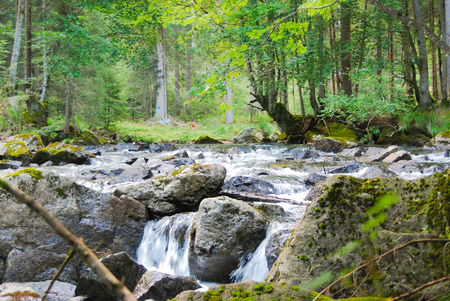 Waterfall in the midst of unspoiled natureの写真素材