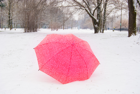 One umbrella in contrast with the white snowy ground with bare treesの写真素材