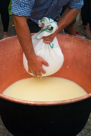 Cheesemaker showing the proceeding to make cheese from the milkの写真素材