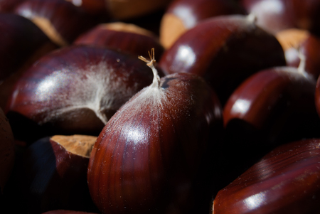 Close-up of brown chestnuts close to each otherの写真素材