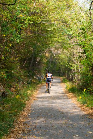 A boy with technical clothes training with the bicycle on a tree-lined asphalt roadの写真素材