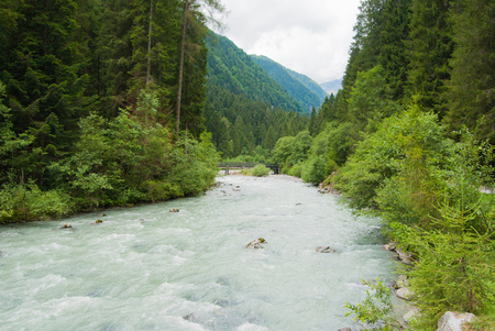 River in flood in the green and luxuriant nature of the Madonna di Campiglio area in Trentino Alto Adigeの写真素材