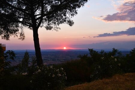Panorama on the agricultural landscape and hills with shape of pine tree in Italy at the end of the dayの写真素材