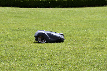 Black and white robot cutting grass in an English lawnの写真素材