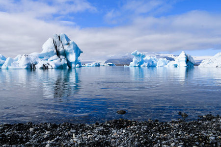 So many pieces of ice with black parts due to the volcanic ash floating on the calm water of the...
