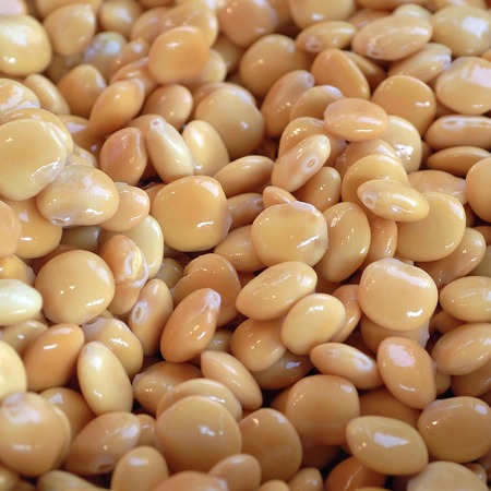 Lupinsの写真素材