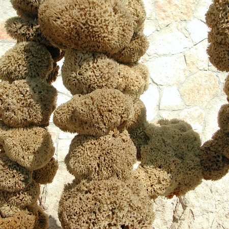 Lampedusa, Italy - September 02, 2002: Spongesのeditorial素材