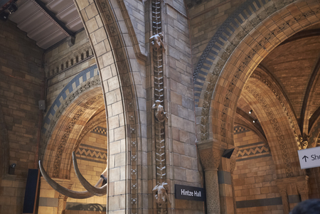 London, United Kingdom - August 27, 2017 : Natural History Museumのeditorial素材