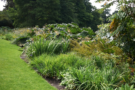 London, United Kingdom - August 25, 2017 : Flowerbedのeditorial素材