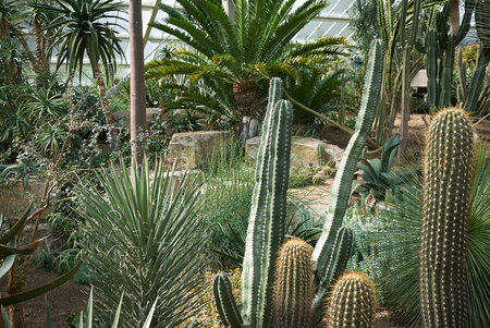 London, United Kingdom - August 24, 2017 : Kew Gardensの写真素材