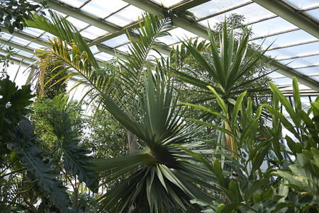 London, United Kingdom - August 24, 2017 : Kew Gardensのeditorial素材