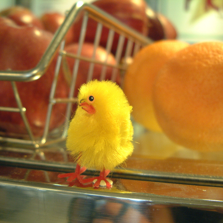 toy chickの写真素材