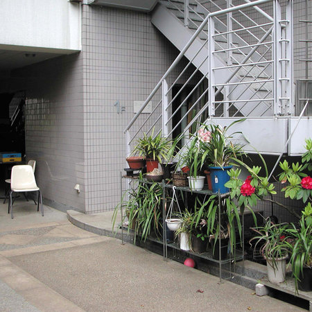 Tokyo, Japan - February 23, 2002: Orchids plantsのeditorial素材