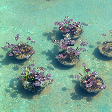 Los Angekles, United States - March 20, 2003 : The Skirball Center
のeditorial素材