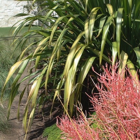 Los Angeles, United States - March 20, 2003 : The Getty Centerのeditorial素材